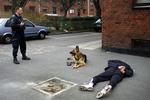 Biltyv fanget af politihund