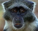 lox_abe_30-08-2008_L05K9S6.jpg