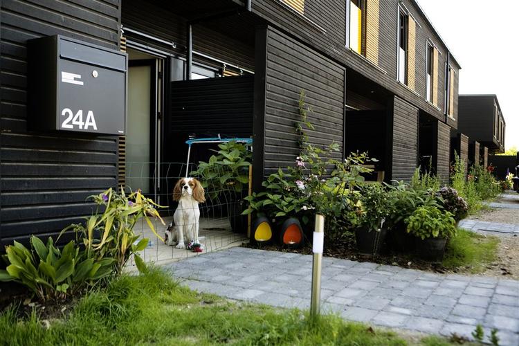 Ritt Bjerregaard lovede billige boliger. Nu får hun hjælp af boligkrisen, som kan sende huslejerne ned. 