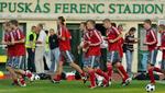 Hungary Denmark Soccer Training