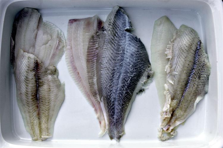 Kvaliteten af fiskekasser købt over internettet er virkelig god. Men det er også en dyr fornøjelse. 