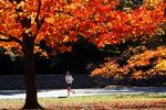En jogger i Central Park i New York. 
