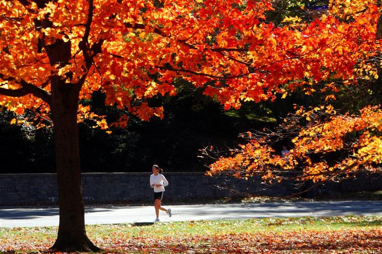En jogger i Central Park i New York. 