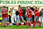 VM-kampen spilles på Ferenc Puskas Stadion, det tidligere Nep Stadion, og der er til det sidste tvivl om flere af de danske spillere. 