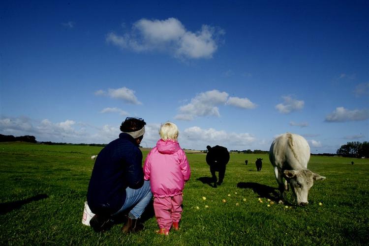 Pesticiderester fra bl.a. landbruget kan være medskyldige i børns overvægt, mener spanske forskere. Arkivfoto. 