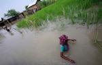 Landsbybeboere vandrer gennem flodvand ved Jafragonj, 40 kilometer nord for hovedstaden Dhaka i Bangladesh. 