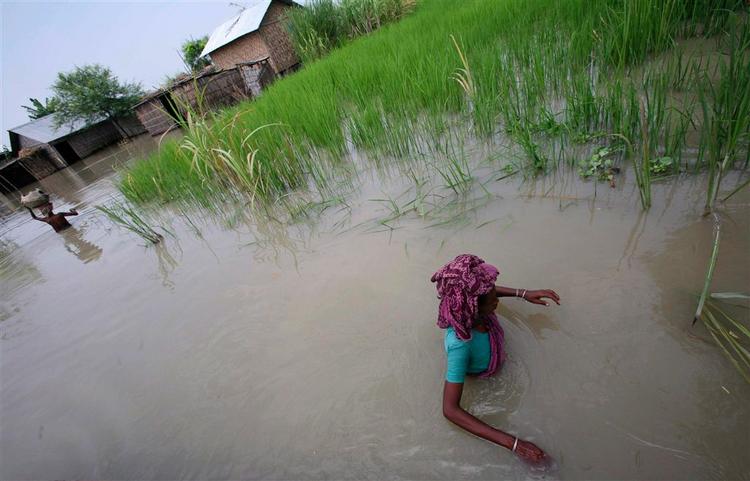 Landsbybeboere vandrer gennem flodvand ved Jafragonj, 40 kilometer nord for hovedstaden Dhaka i Bangladesh. 