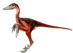 lox_dino.2_06-09-2008_1U5M31T.jpg