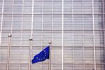 Tilmeldingslysten til EU's lobbyregister har været noget afdæmpet. Bare 315 lobbyvirksomheder har tilmeldt sig. Arkivfoto 
