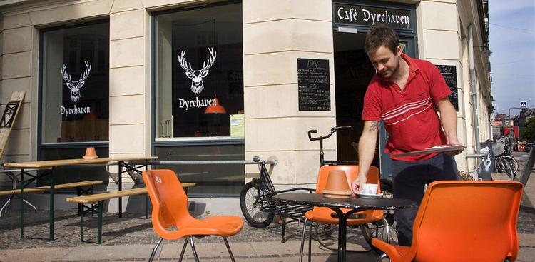 Dyrehaven er en ny bar og restaurant på Sønder Boulevard på Vesterbro. Foto: Søren Schnoor 