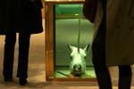 Damien Hirst auktionerer på mandag sine værker på Sotherby's. Her er værket 'Broken Dreams' 