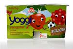 Yoggi Yangster