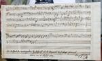 De fundne noder af Mozart beskriver en komplet lille melodi, siger Mozartekspert. 