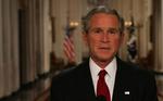 Bush 
