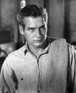 Paul Newman i 'Cool Hand Luke' fra 1968. Filmen kan ses på DR søndag 12. oktober. Foto: AP 