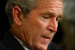 Bush Financial Meltdown US Ukraine