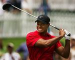 Tiger Woods Future Golf
