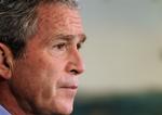 Bush 