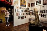 Gennem de sidste 14 år har man kunnet blive klogere på porno og seksualhistorie på Museum Erotica. Nu er det særprægede sted truet af lukning. 