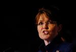 De republikanske politikere, der interesserer sig for og har beskæftiget sig med udenrigspolitik i årevis er mindre begejstrede for Sarah Palin. 