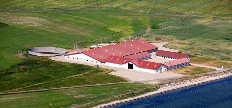 Inden for dansk landbrug oplever man i øjeblikket store prisstigninger på jord og ejendomme. Det skyldes, at svineproducenterne skal være større for at være rentable – og har svinebønderne ikke jord nok, får de ikke lov at udvide. Foto: Per Folkver 