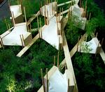 magDesign_TranbergPix_05-10-2008_965PCPJ.jpg