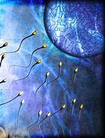 RF - Sperm Swimming Towards Egg
