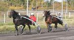 Træning 081004