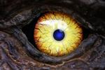 Dinosauren tyrannosaurus rex var på alle måder et enormt dyr. Det forhistoriske væsen var blandt andet udstyret med kæmpemæssige næsebor, der gav rovdyret en fantastisk lugtesans. Arkivfoto. 