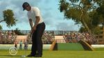 Præcis som Tiger Woods excellerer på de fleste områder på banen, er golfspillets med hans navn svært at sætte en finger på. 