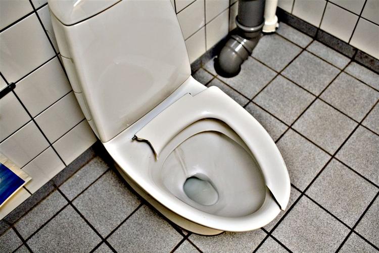 Finance Minister Lars Løkke Rasmussen is tired of being bogged down in local council complaints about faulty school lavatories. 