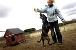 Der er op til 60 procents forskel i pris på at få passet sin hund på landets hundepensioner. 