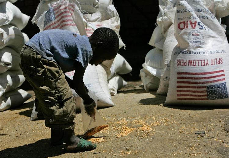 En congolesisk dreng samler kikærter op fra jorden efter en fødevareudlevering i Kiwanja, 75 kilometer nord for Goma i det østlige Congo. 