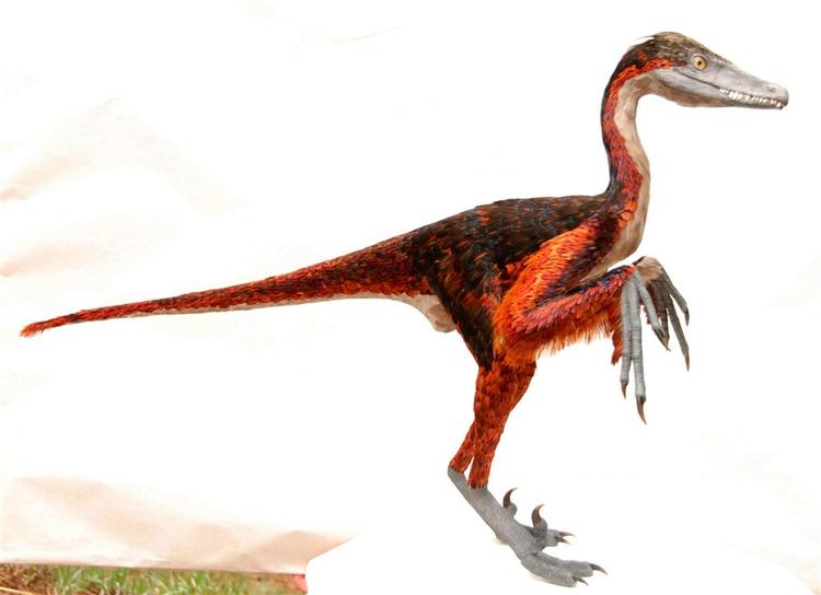De er sandsynligvis fuglenes genetiske forgængere, men det kan ikke bevises om de kvidrede. Tegningen er fra Miami Science Museum. 