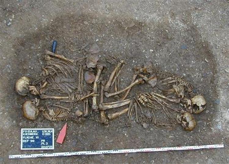 Den 4.600 år gamle grav for kernefamilien blev  fundet tæt ved byen Eulau i Tyskland. Foto: Procedings of the National Academy of Sciences 