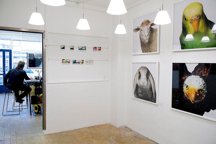 Hos DASK sælger man værker helt ned til 500 kr. Tanken er »at vise den store  bredde inden for fotokunsten«. Foto: Peter Hove Olesen 