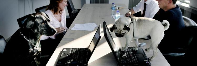 Vi lever i en arbejdskultur, hvor vi alle skal gøres vores ypperste for at ’performe’ og konstant udvikle og perfektionere os til at klare enhver tænkelig udfordring. Men er det alle typer medarbejdere, denne arbejdskultur er indrettet til? Foto: Martin Lehmann 