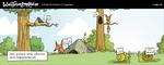 wulff_13_12_2008