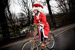 bagcykel_03-12-2008_9C69RN1.jpg