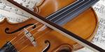 Violin