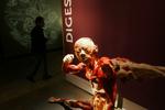Panama Bodies Revealed