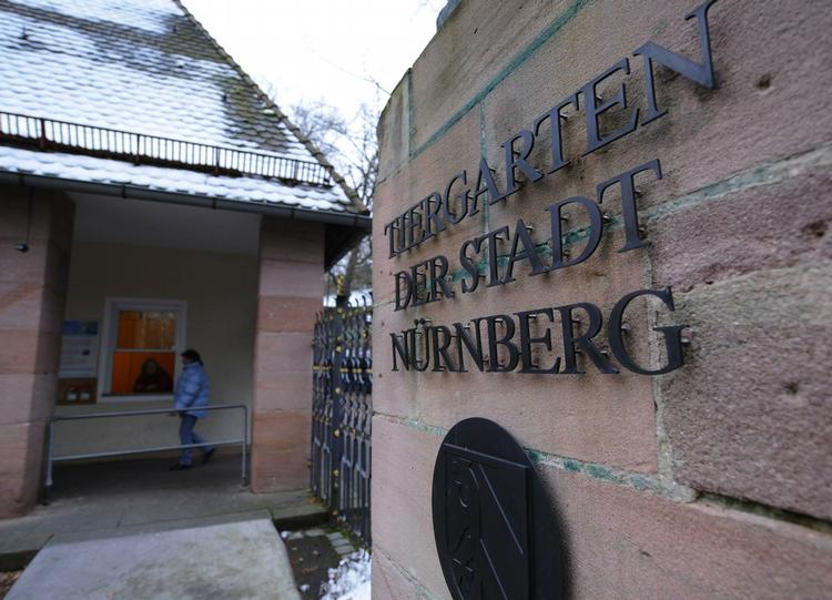 Billede fra zoo'en i Tyskland. Se billeder af isbjørnen på zoo'ens hjemmeside: http://www.nuernberg.de/internet/eisbaer/ 