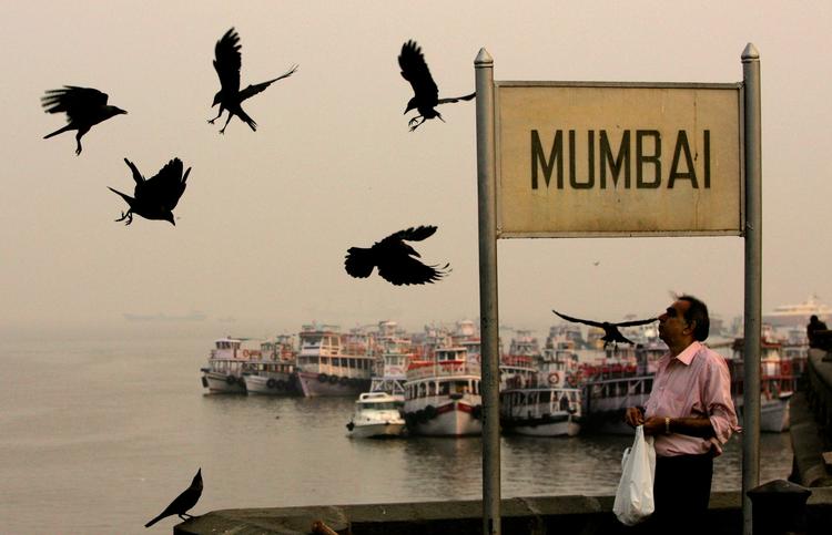 Livet går videre i Mumbai, der i slutningen af november blev udsat for et voldsomt terrorangreb, der kostede 164 mennesker livet. 
