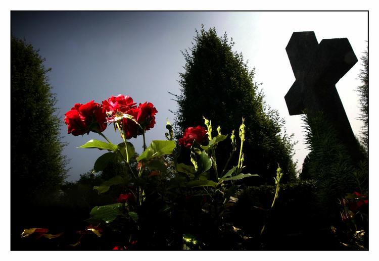 Craig Ewerts sidste dage og sidste øjeblik blev optaget til en dokumentarfilm, som har skabt stor debat i England. I morgen aften vises den på DR. 