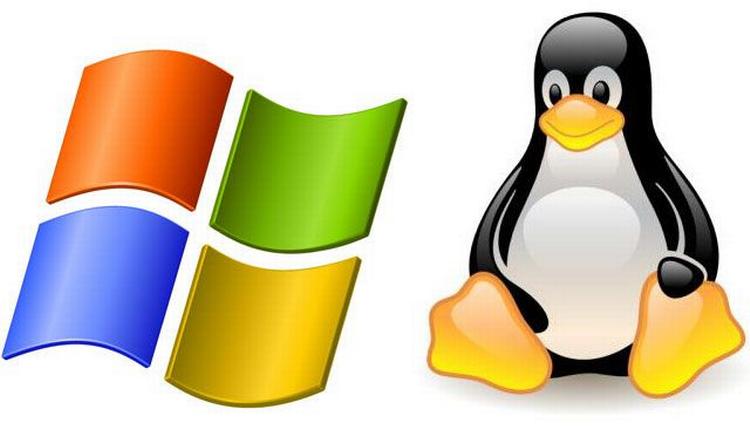 Der er penge at spare ved at vælge en mininote med Linux – hvis maskot Tux ses til højre – og den vil tillige udnytte computerens begrænsede ressourcer bedre end en tilsvarende maskine med Windows. Men husk, at de to systemer ikke er ens, at de ikke kan køre de samme programmer og at du som Windows-bruger skal bruge en smule tid til at vænne dig til det nye styresystem. 