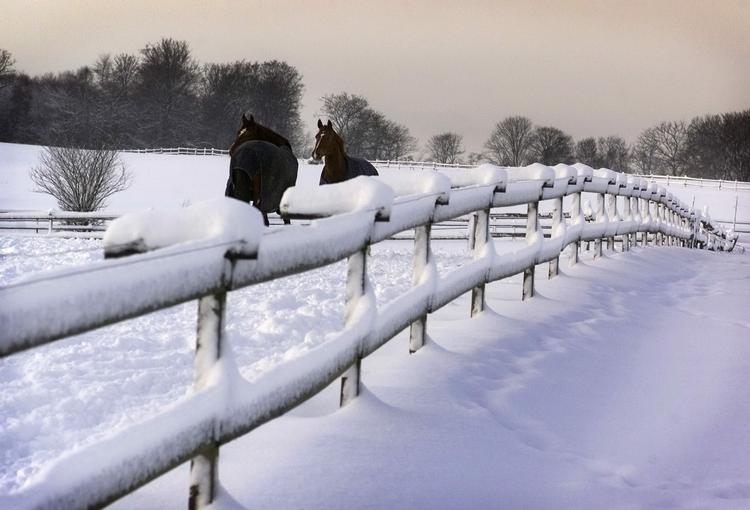 Her vintervejret som det så ud i Frederiksdal 29. december 2004. Men heller ikke det år var der hvid jul. 