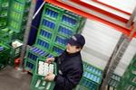 Så gik det ikke længere. Andelshaverne i Hirtshals mejeri har stemt sig ind Arla Foods. Arkivfoto. 