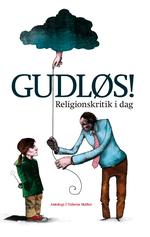 I stedet for et enkelt målrettet angreb på religionen er der tale om et tæppebombardement .