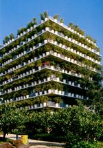 Arkitekten Édouard François bemærkede parisernes forkærlighed for at overplante små potter på deres altaner. Han skabte i stedet en facade med meget store potter og plantede bambus i dem for at give en levende facade. Foto: Anette Holek