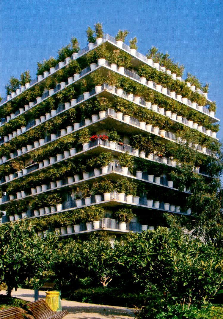 Arkitekten Édouard François bemærkede parisernes forkærlighed for at overplante små potter på deres altaner. Han skabte i stedet en facade med meget store potter og plantede bambus i dem for at give en levende facade. Foto: Anette Holek